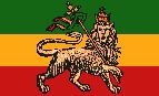 rasta